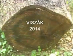 video 2014